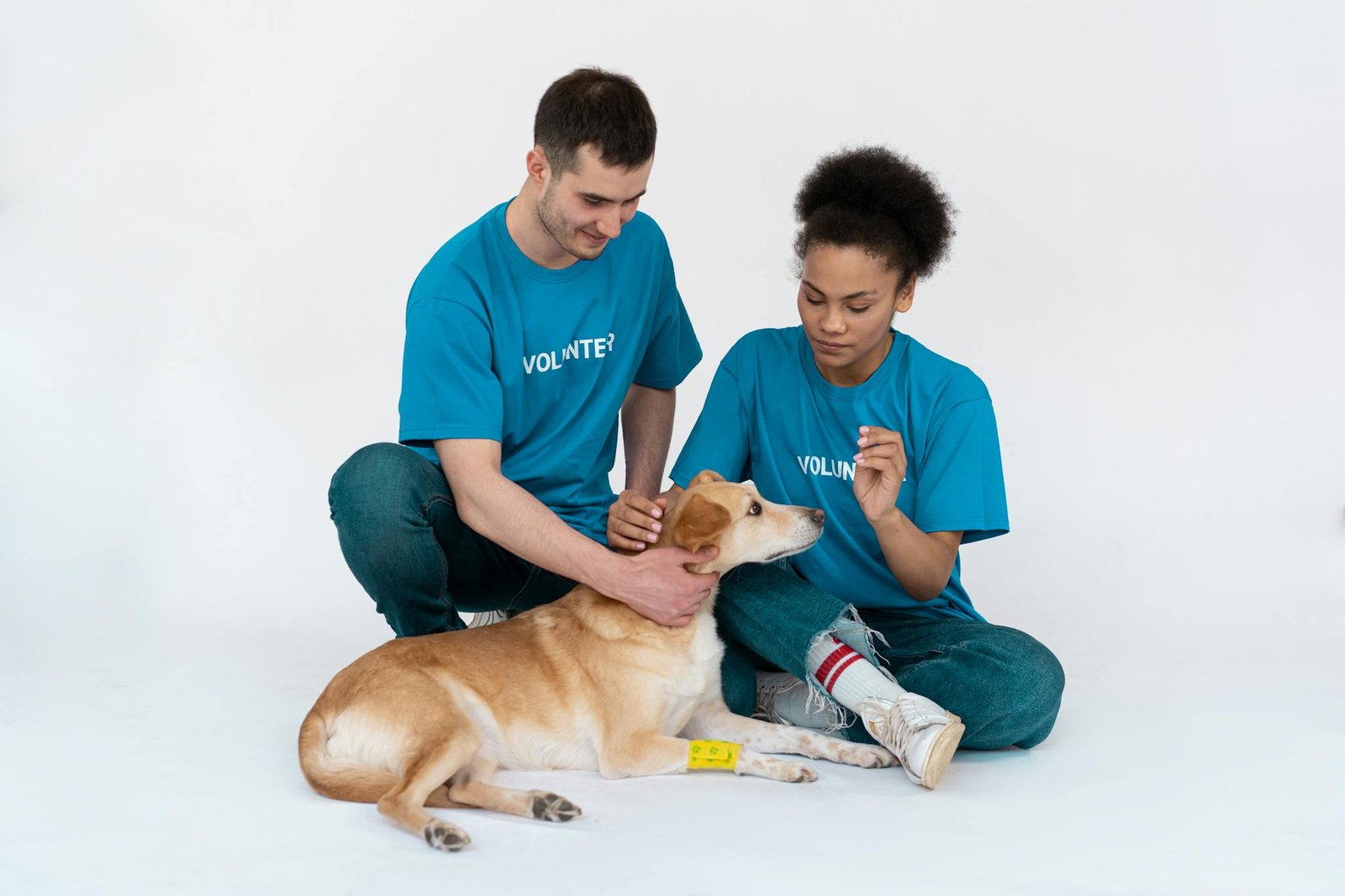Two volunteers interacting lovingly with a dog in a studio setting.